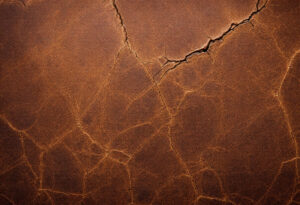 how to remove verdigris from leather