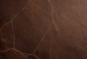 how to remove verdigris from leather