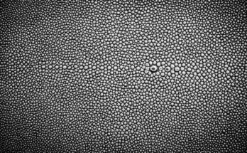 what is a pebble leather​