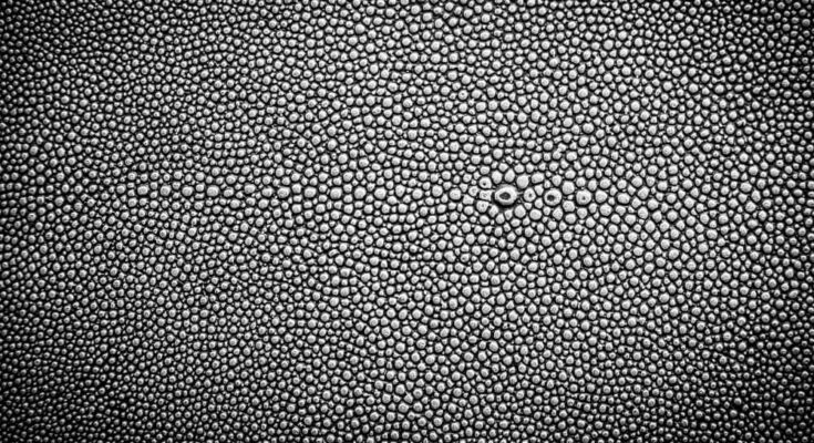 what is a pebble leather